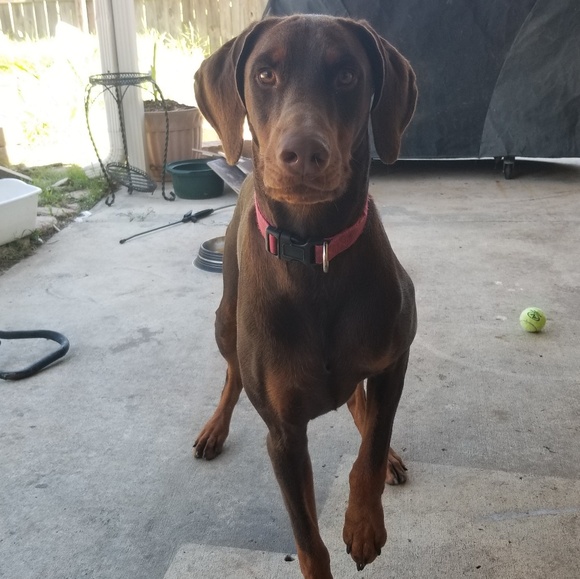 MEET YOUR SELLER/BUYER!! - Picture 4 of 7